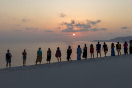 Socotra_2025 (34/76)